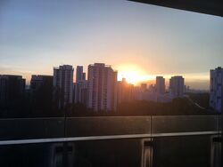 The Rochester Residences (D5), Apartment #619287621